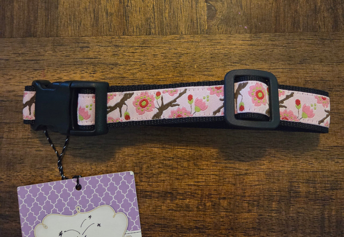 Dog Collar