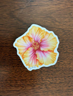 Carolina Chickadee Co Stickers