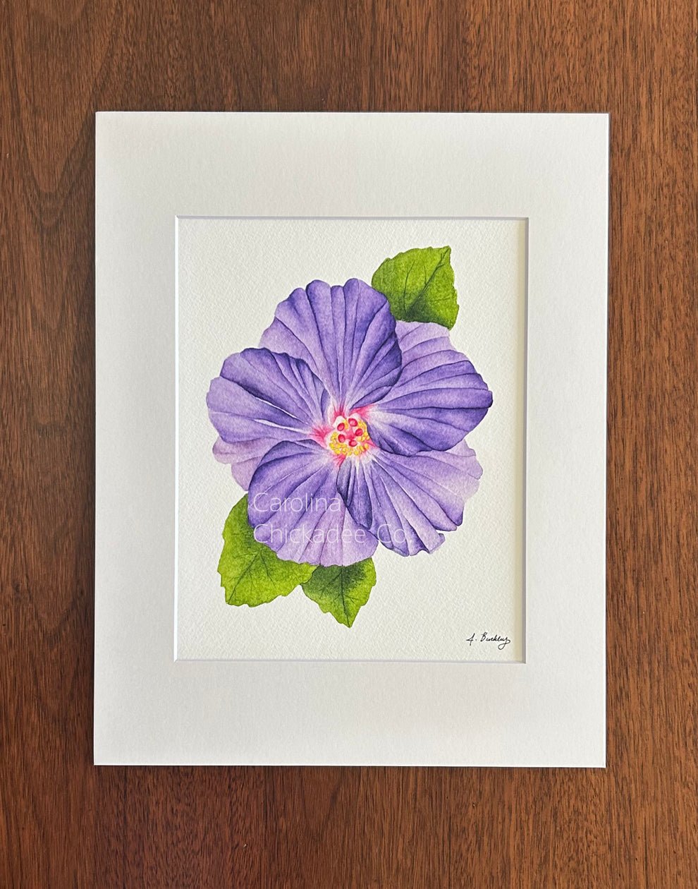 Carolina Chickadee Co Watercolor Prints - 4" x 6"