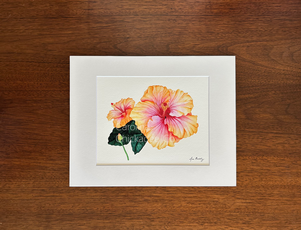 Carolina Chickadee Co Watercolor Prints - 4" x 6"