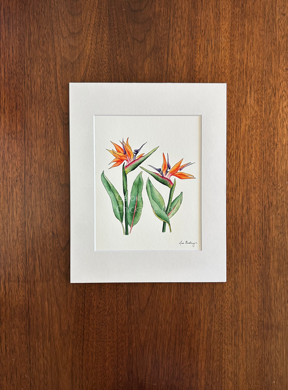 Carolina Chickadee Co Watercolor Prints - 5" x 7"