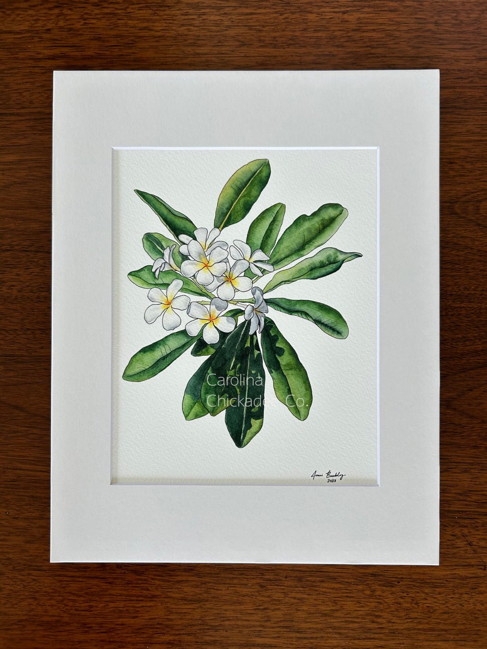 Carolina Chickadee Co Watercolor Prints - 5" x 7"