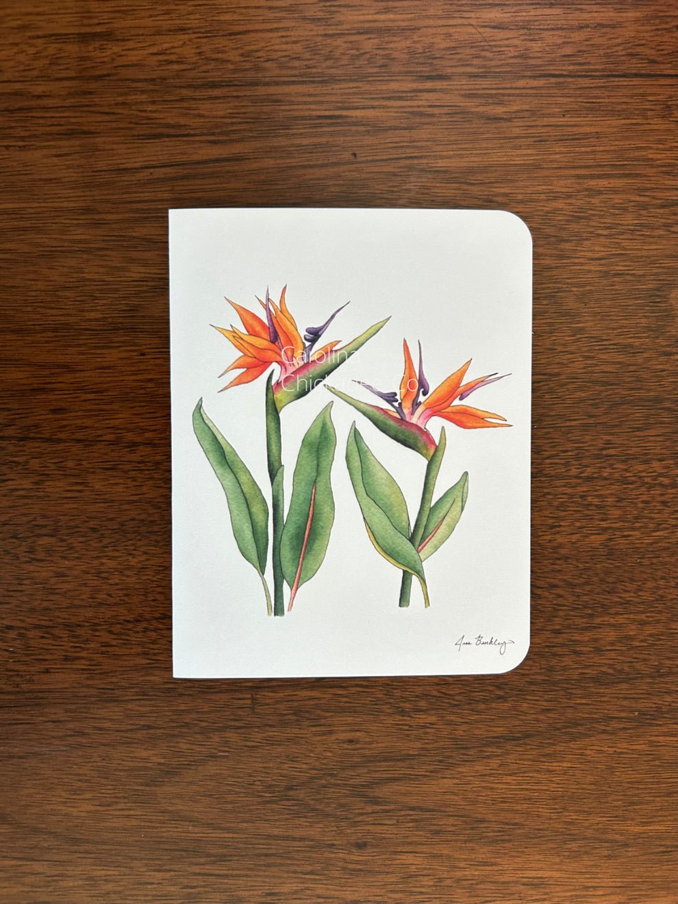 Carolina Chickadee Co. Greeting Cards