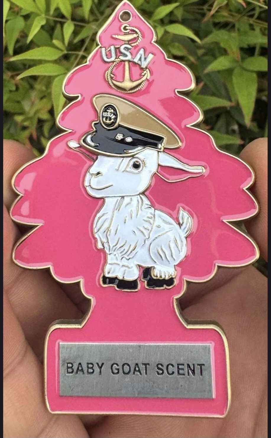 Baby Goat FY26 Challenge Coin