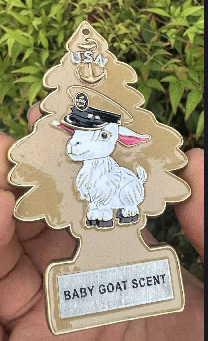 Baby Goat FY26 Challenge Coin