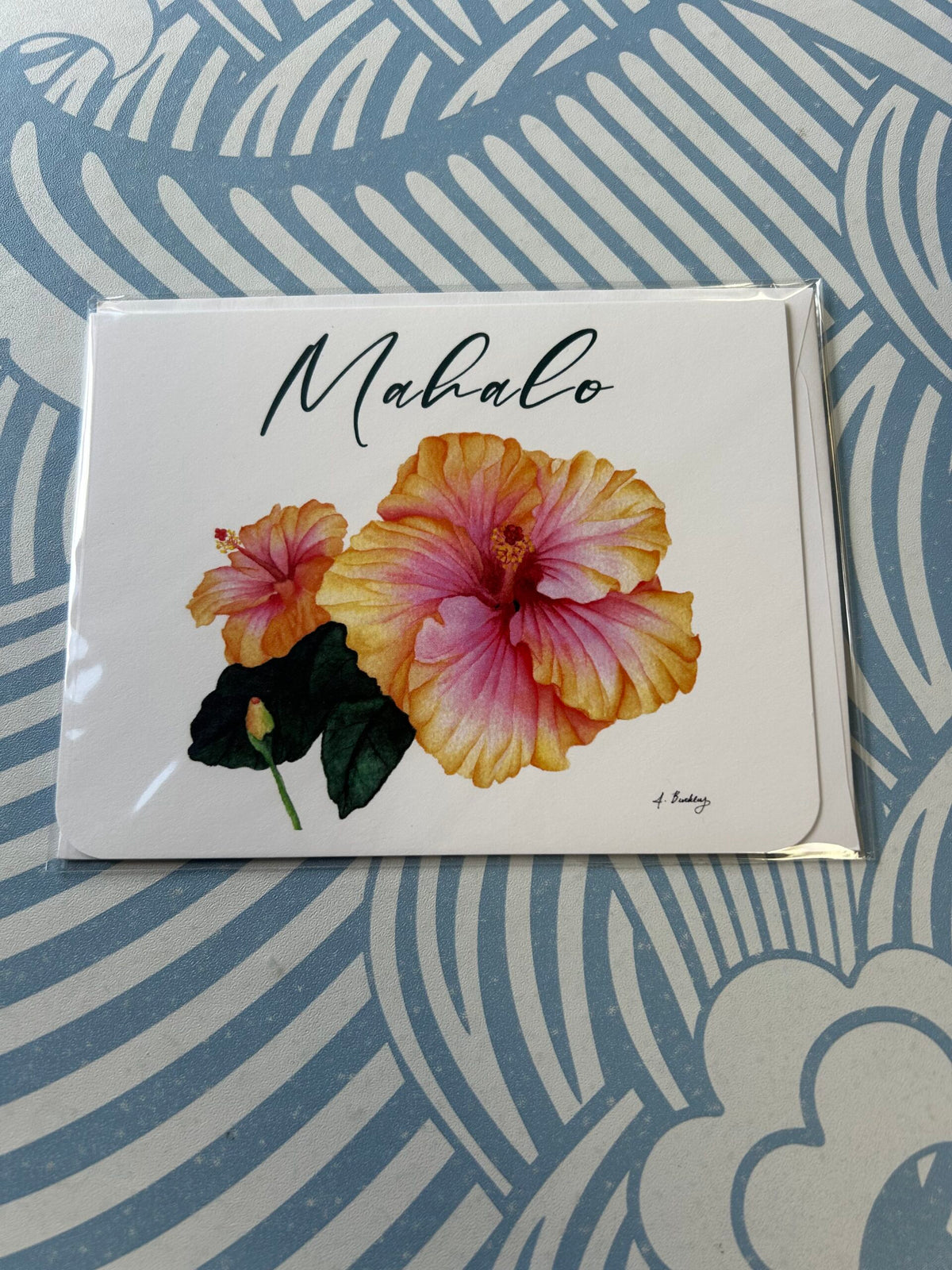 Carolina Chickadee Co. Greeting Cards