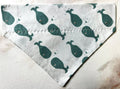 Pet Bandana