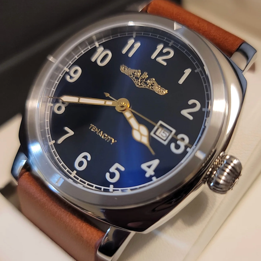 Tenacity Bubblehead Watch - Gold dolphins