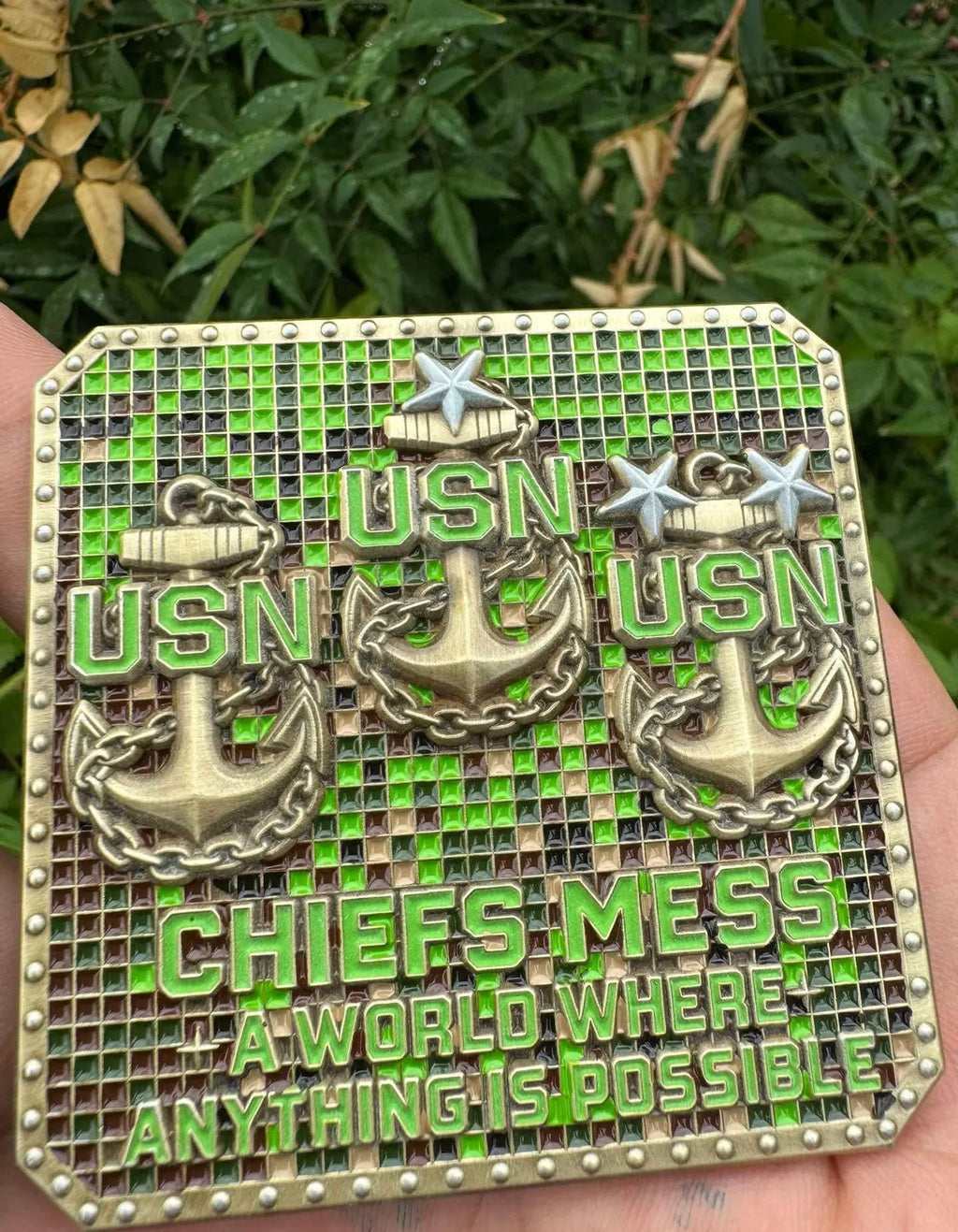 Minecraft Chief Coin