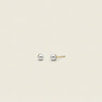 Dainty Forces, Co. Stud Earrings