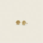 Dainty Forces, Co. Stud Earrings