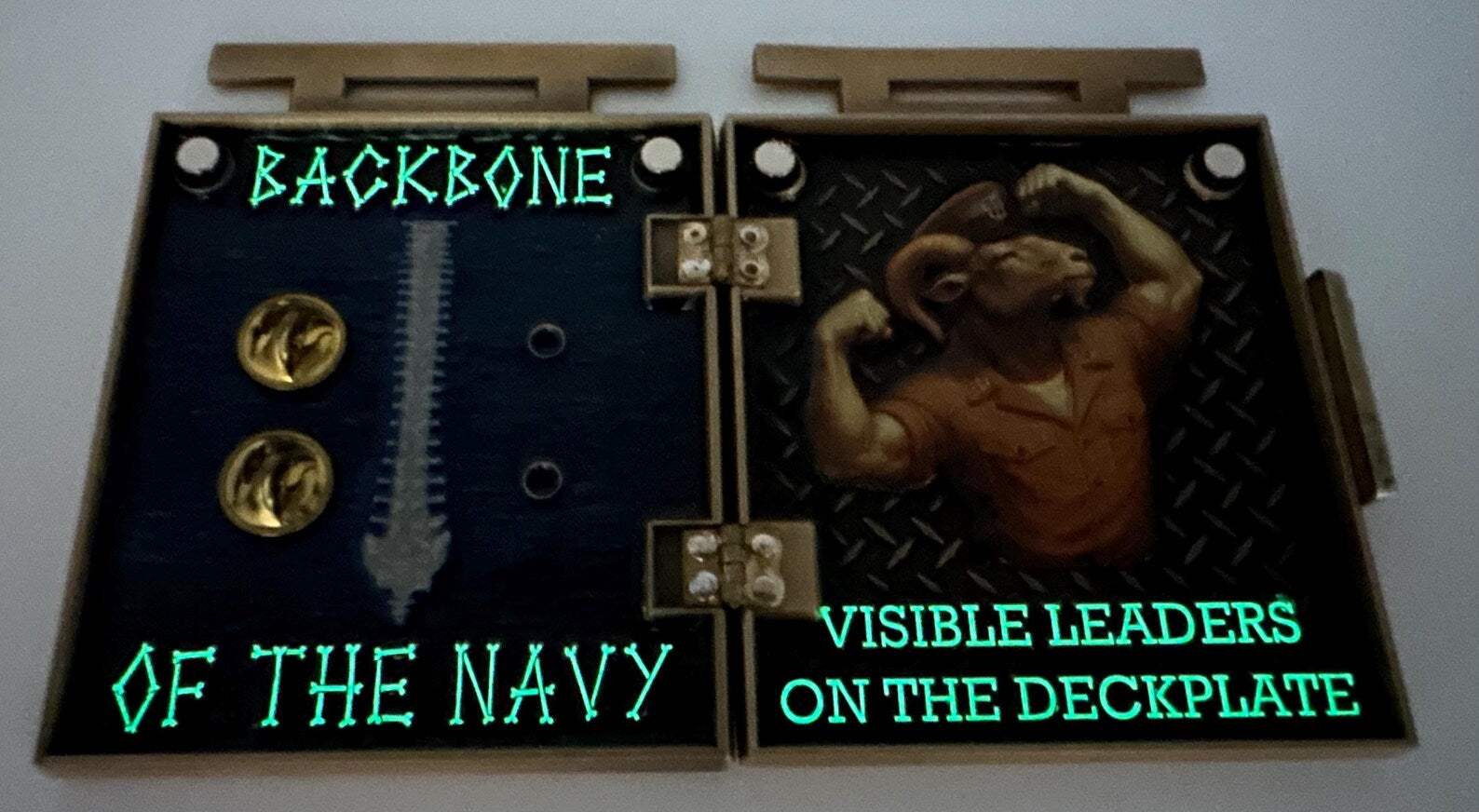 CPO Vessel Challenge Coin
