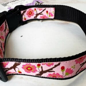 Dog Collar