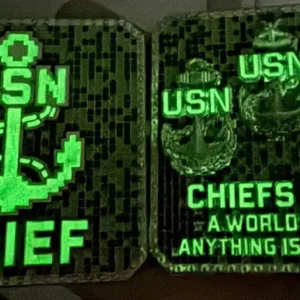 Minecraft Chief Coin